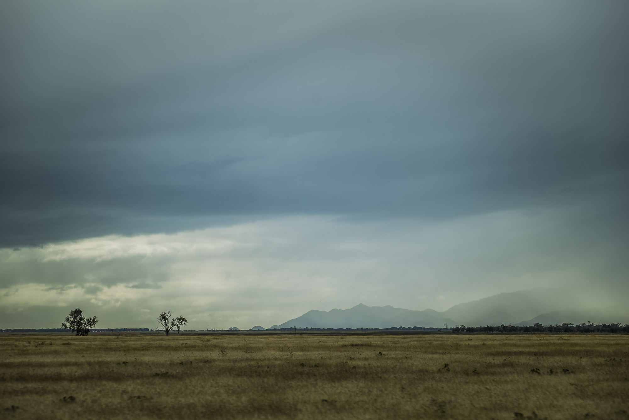 Newwebsite041.JPG